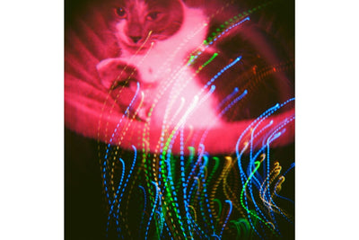 Lomography Diana F+ Camera & Flash CMYK