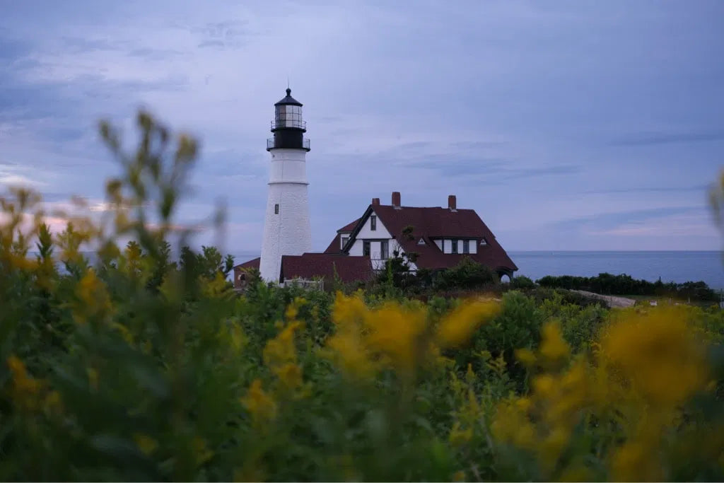 Cámara Digital X-M5 + XC15-45mm Kit Negro Fujifilm